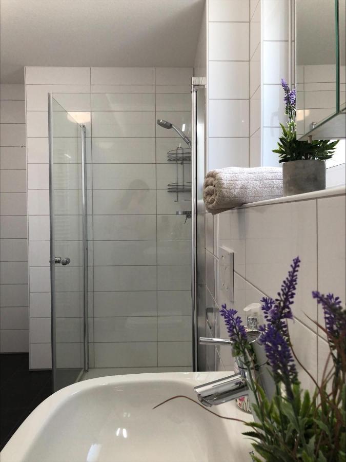 Moderne Alpenblick Apartment Φριντρισχάφεν Εξωτερικό φωτογραφία